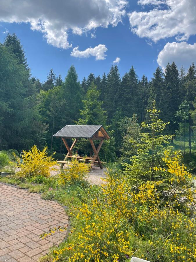 Ferienwohnungen Boernert Am "Klingerbach" Tellerhäuser 外观 照片